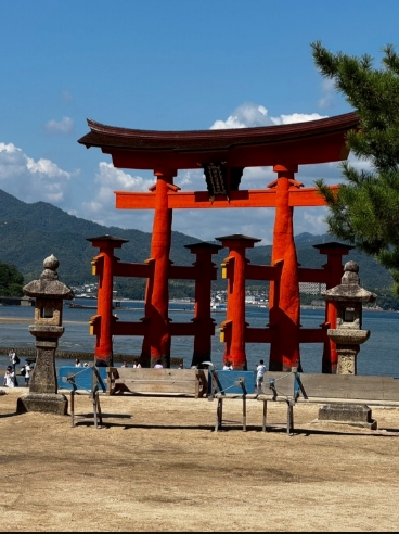 厳島神社へ！大鳥居！