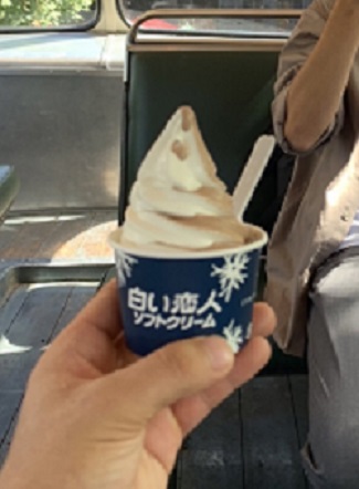 sapproicecream