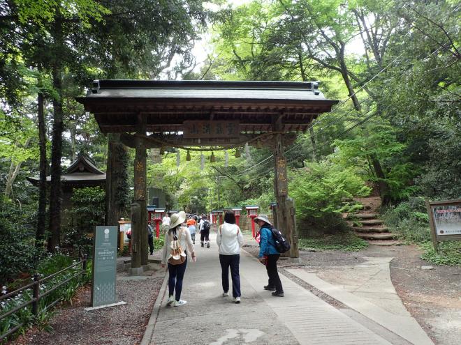 林の中の山門