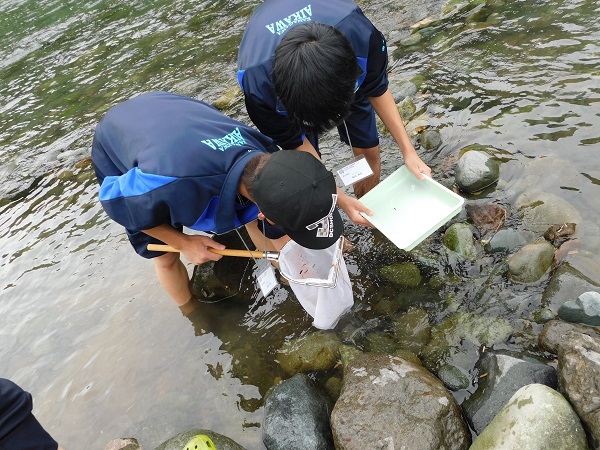 中津川の水質調査2