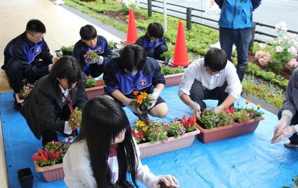 花をプランターに植えている様子