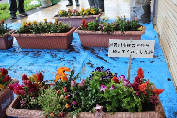 「愛川高校の生徒が植えてくれました」という看板をつけていただきました