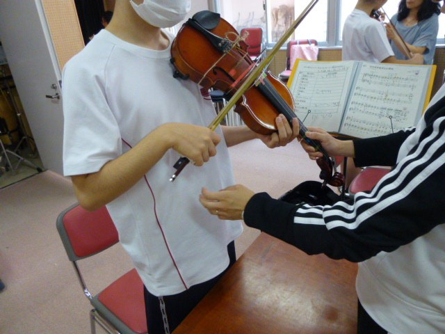 violin