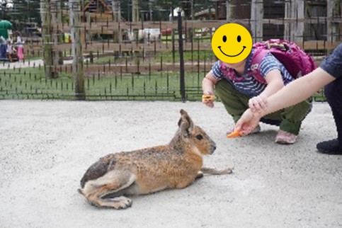 富士サファリパークでの様子2