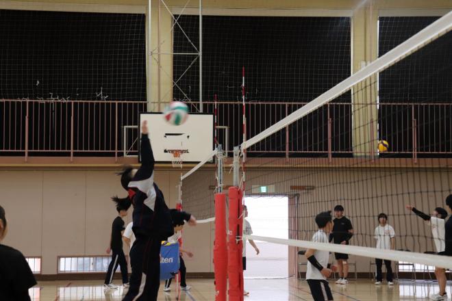 女子バレーボール部の写真