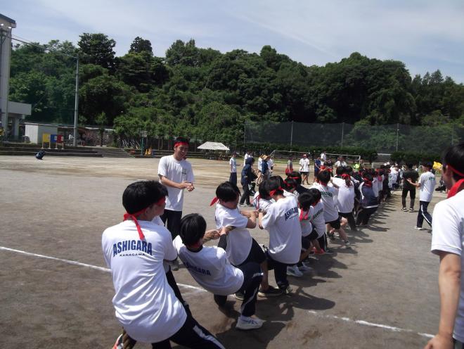 2025年度体育祭の綱引きの写真