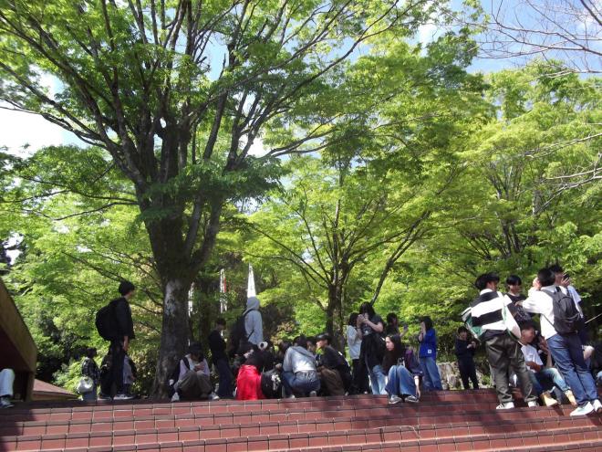 足柄ふれあいの村の写真