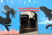 若楓祭1