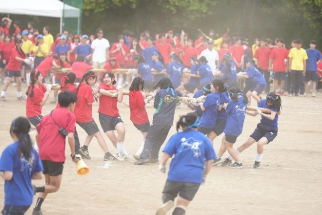 棒取り