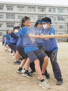 青組