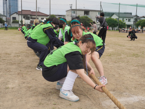 緑組