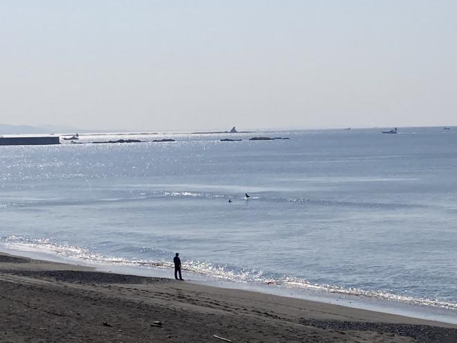 海