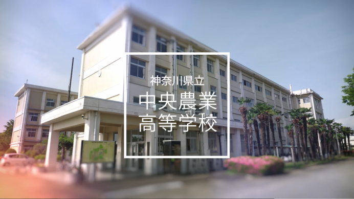 校舎