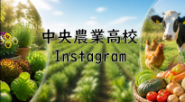 Instagram.PNG