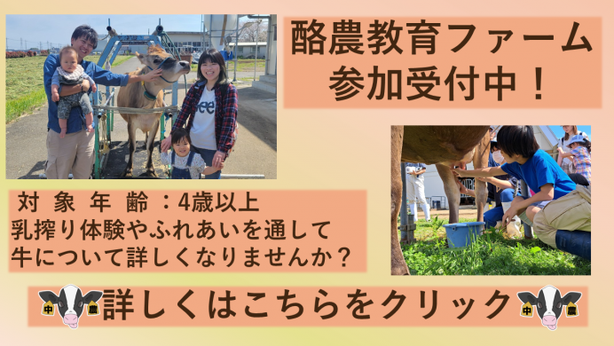 酪農教育ファーム