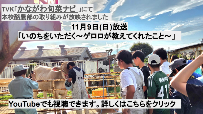 R07_1120しゅんさいナビ期間限定