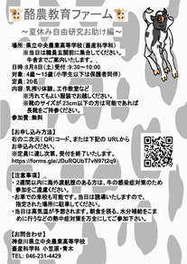 26072400.png