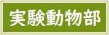実験動物部アイコン