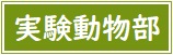 実験動物部アイコン