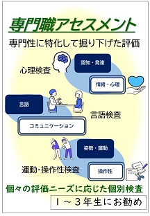 専門職アセスメント：専門性に特化して掘り下げた評価
