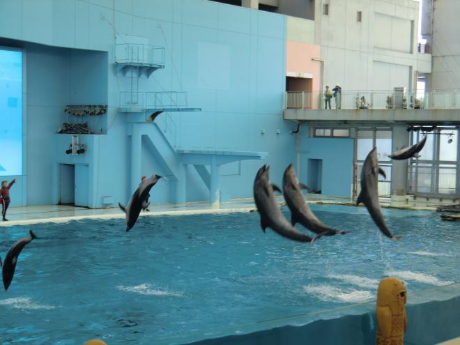 水族館