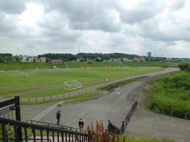 境川遊水地公園1