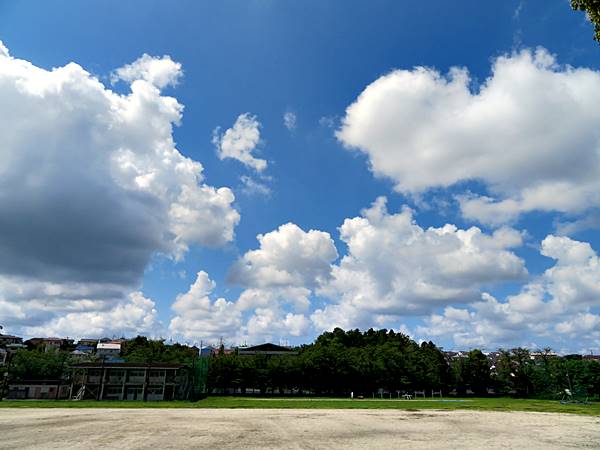 校庭から夏空