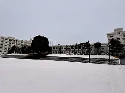 雪景色1