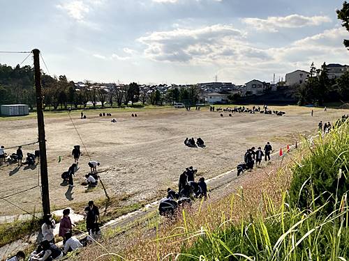 校庭の草取り1