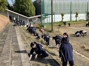 校庭の草取り2