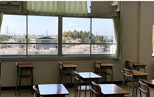 教室の桜