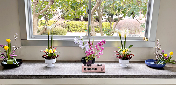 華道部の花2月7日