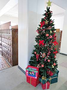 生徒昇降口クリスマスツリー１