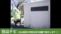 ハクちゃん２