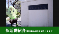 部活動紹介