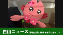 白山ニュース