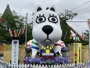 20250502_33.jpg