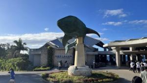 美ら海水族館