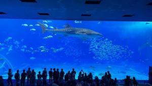 美ら海水族館2