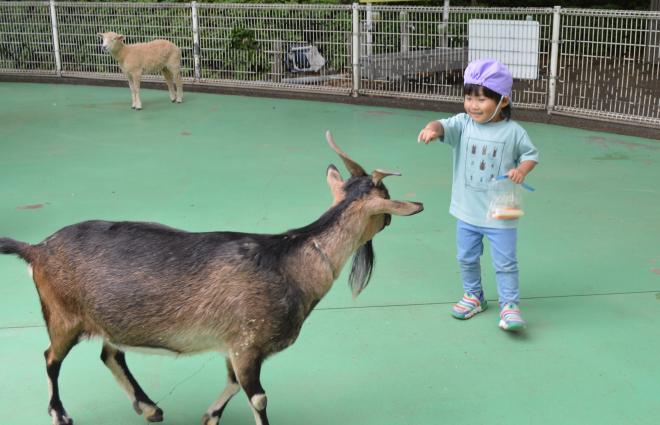幼稚部春の遠足③