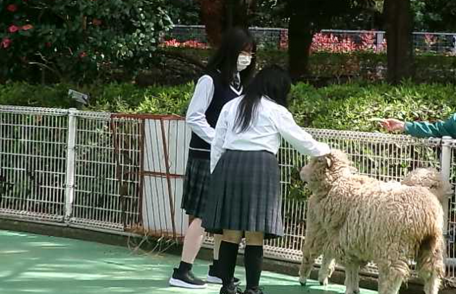 舎15