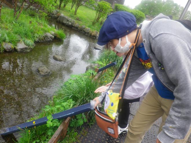 北海道5