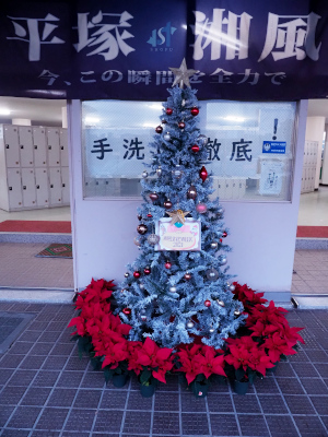 クリスマスツリー