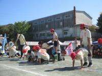 令和5年度小学部運動会06