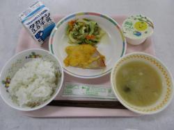 241121かながわ