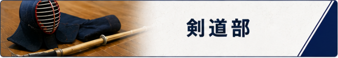 kendo.PNG