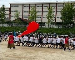 体育祭No6