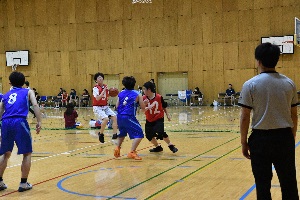 basket3