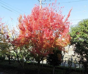 25111813学校の様子