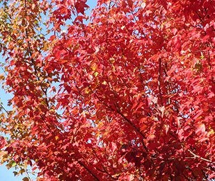 25111814学校の様子